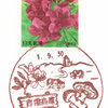 【風景印】賀陽郵便局(2019.9.30押印、図案変更前・終日印)