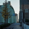 橋のある夕景④『相生橋～越中島』