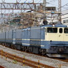 ウソ電－EF65ベースの貨物電車「M200系」