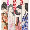 佐藤恵秋「雑賀の女鉄砲撃ち」「雑賀の女鉄砲撃ち 鋼輪の銃」(2018：徳間時代小説文庫)