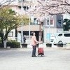 平成31年、日常の中の桜。