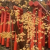 石浦神社の朱色の鳥居と黄色のもみじ