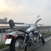 ３年目のマグナ