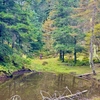 鳥ヶ池（長野県大鹿）