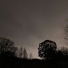 生駒山麓森林公園