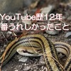 YouTube歴12年、一番うれしかったこと