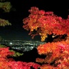 大山寺のライトアップされた紅葉と参道、神奈川の夜景！お勧め紅葉スポット！