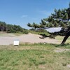 国営木曽三川公園「ワイルドネイチャープラザ」inサリオパーク祖父江