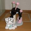 子猫やんちゃ列伝　～黒猫追悼記６～