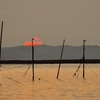 今朝は御船手海岸から