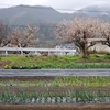 寒い雨☔の土曜日