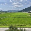 ついに移住が決まった【田舎に移住②】