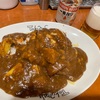 カレーのおいしさに目覚めた。得正（肥後橋）