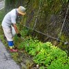 ダム清掃実施