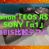 Canon「EOS R5」とSONY「α1」のIBIS（ボディー内手ぶれ補正）比較テスト〜評判通りCanonが優秀〜
