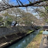 真間川を歩く その１ 東京湾口真間川水門から派川大柏川合流点