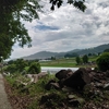 朝の山道。