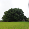 白山古墳（白山1号墳）  白山姫神社　埼玉県行田市大字長野