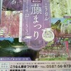 4/26日更新　2025年度　曼陀羅寺の「藤まつり」最新の開花状況　江南市