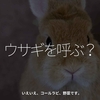 1618食目「ウサギを呼ぶ？」いえいえ、コールラビ、野菜です。