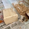 巣作り名人を目指して