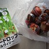 球根には向きがあるんですね