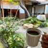 【2023.10 京都旅①】ひさびさ秋の京都!…とはいえのんびり穏やかに過ごす旅。