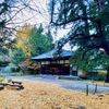1月よりオンライン座学クラス再開します