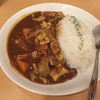 「カツカレー丁屋」でカツではなくホルモンカレー