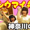 2月12日の動画