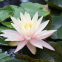 ドラマと子育てと三世帯同居の話し