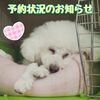 【直近の予約状況】