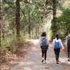 幕山(まくやま)に登ってきましたよ  【神奈川県足柄郡】