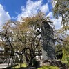 東京散策　ー聖勝山 東郷寺（府中市）ー