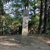 大きな神社に九字を打つことによる邪魔、私にとって足を挫くのは大怪我に相当する。