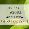 「4回目！当たれ！お花見懸賞」キューモニターショピレコ調査