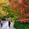 2021 京都の紅葉：紅葉色々その3
