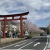 桜満開の新年度