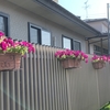 生活一変したけれど。。。