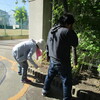 季節を感じる…グリーンカーテンを撤去しました