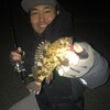 岡崎大樹寺店　カガの春の根魚散歩♪