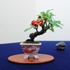 秋雅展から清香会へ、例年通りのハシゴ