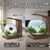 【1年レビュー】機材レスで美しすぎる「ペルコ水槽」。新作「デカペルコ」との賢い選び方