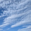 金曜日の空と家庭菜園とポテチの包装が半分だけカラー