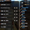 私のランス最終装備