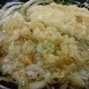 鶏天ぷら　讃岐うどん