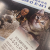 岩合光昭　「ふるさとのねこ」にいってきました。