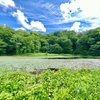 田代沼（秋田県湯沢）