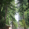 高野山・熊野三山・伊勢神宮・大神神社への旅②　 〜熊野速玉大社・熊野那智大社（飛瀧神社）〜