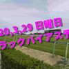 2020,3,29 日曜日 トラックバイアス予想 (中山競馬場、阪神競馬場、中京競馬場)